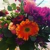 amy_bates